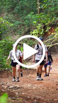 BIB:  <button type="button" onclick="openModal(27822430)" class="btn btn-primary btn-sm float-right" data-toggle="modal" data-target=".modal-high-quality">
                <i class="fa fa-download"></i> Download
                </button>